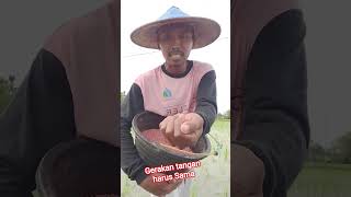 gerakan tangan #algoritma  #shortsfeed