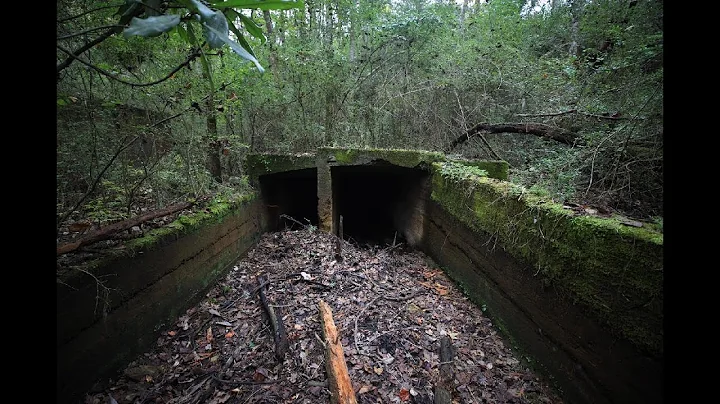 Historic Montevallo Coal Mining Company-Aldrich
