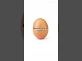 OPEN THE EGG!!!