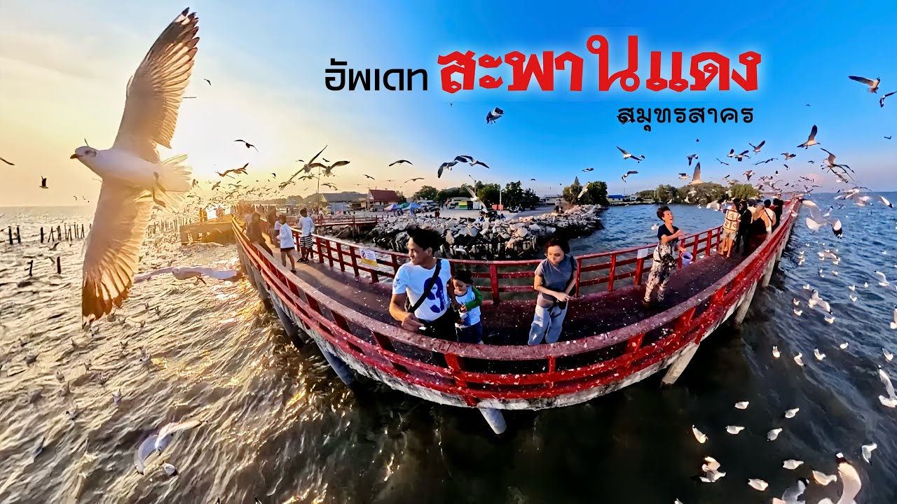 อัพเดท สะพานแดง จุดชมวิวทะเล สมุทรสาคร 2026 | ไบค์เกอร์ตะลอนไปทั่ว