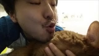 さわやか系男子のキッスに照れちゃうメスの茶色猫