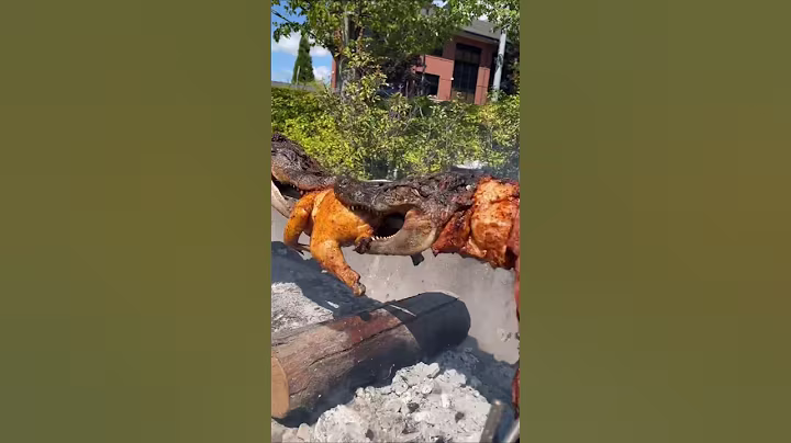 Crocodile farm harvesting method.