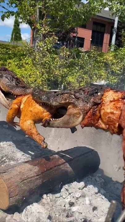 Crocodile farm harvesting method.