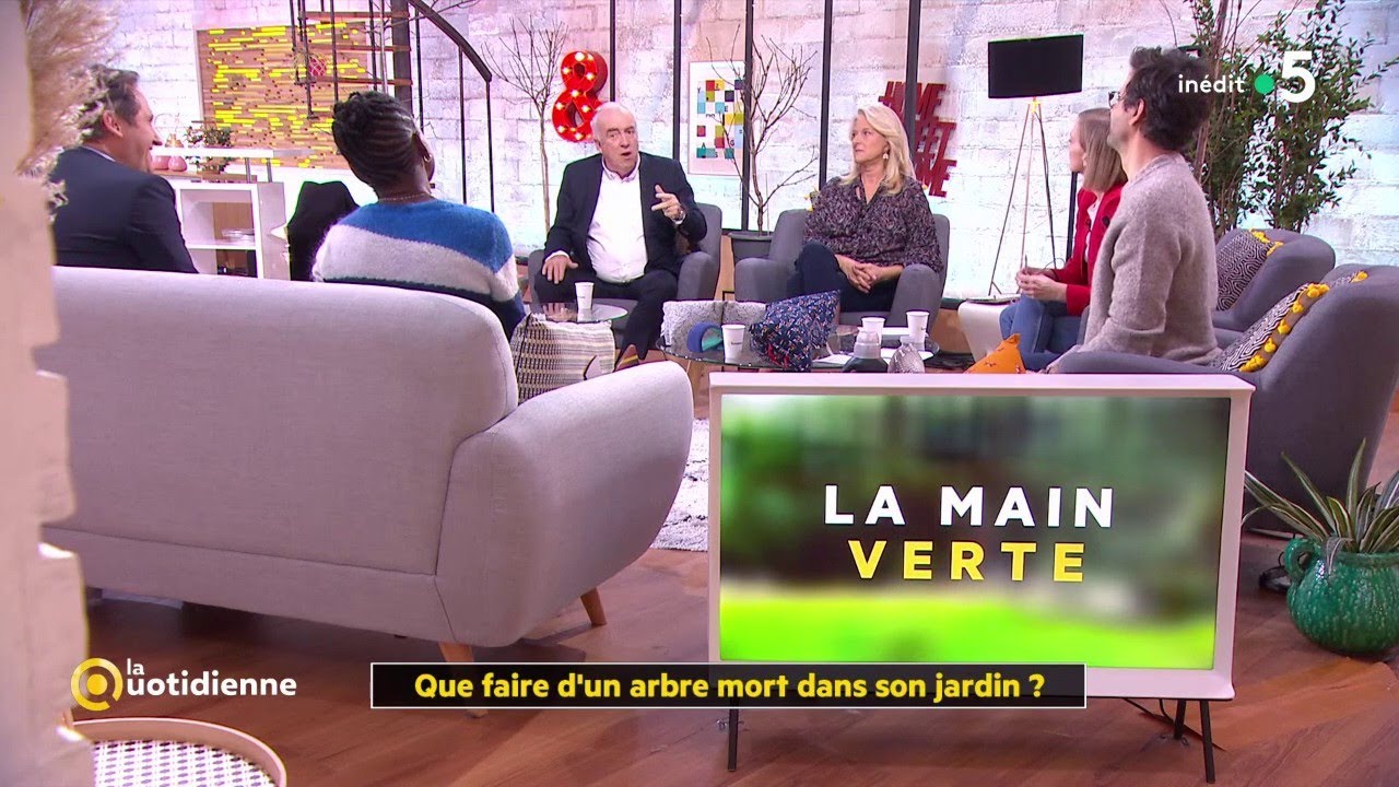 Que faire d'un arbre mort dans son jardin ? - La Quotidienne