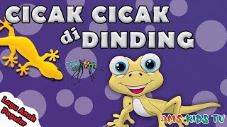 Cicak Cicak Di Dinding, Bintang Kecil & Pelangi-Pelangi | Lagu Anak Balita Terbaik 2024