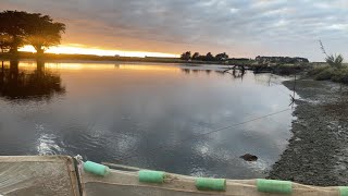 Whitebaiting New Zealand episode #1