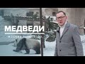 МЕДВЕДИ | История Москвы - Москва Раевского