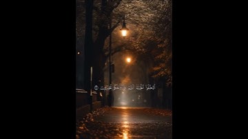 ( يَا عِبَادِ لَا خَوْفٌ عَلَيْكُمُ الْيَوْمَ وَلَا أَنْتُمْ تَحْزَنُونَ)   القارئ عثمان الحداد