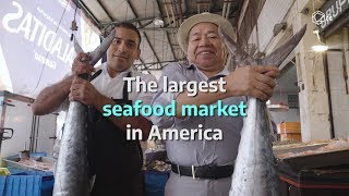 The Largest Seafood Market In America | PLANE B