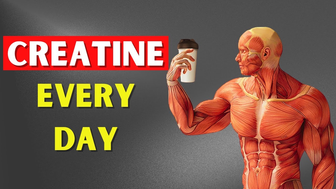 What happens to your body when you take creatine every day to gain ...