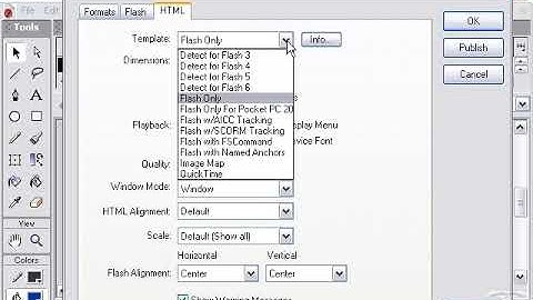 Adobe macromedia Flash Mx  publish settings urdu / hindi  tutorial