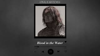 Winter Soldier Vibes Playlist