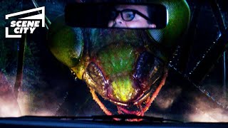 Escalofríos Escena De Ataque De La Mantis Religiosa Gigante Jack Black