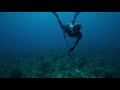 Lobster divers risk death, injury in Honduras