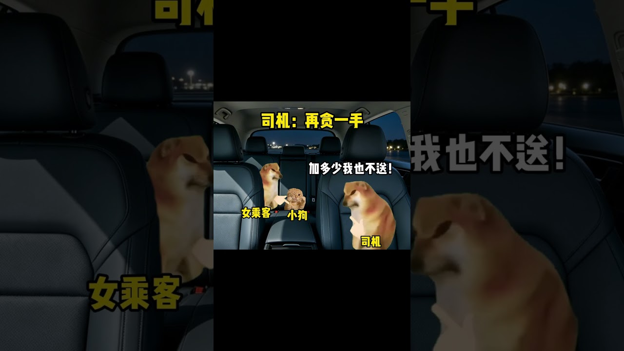司机：再贪一手 #猫meme #真实还原 #搞笑 #富婆