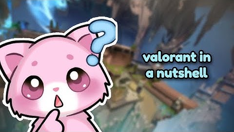valorant in a nutshell
