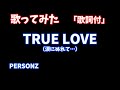 【歌ってみた】「歌詞付」TRUE LOVE / PERSONZ