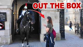 She Tried to Pet the Guard’s Horse… Guard Didn't Hold Back!