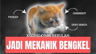 Kucing Oren Berulah (Chat Music)