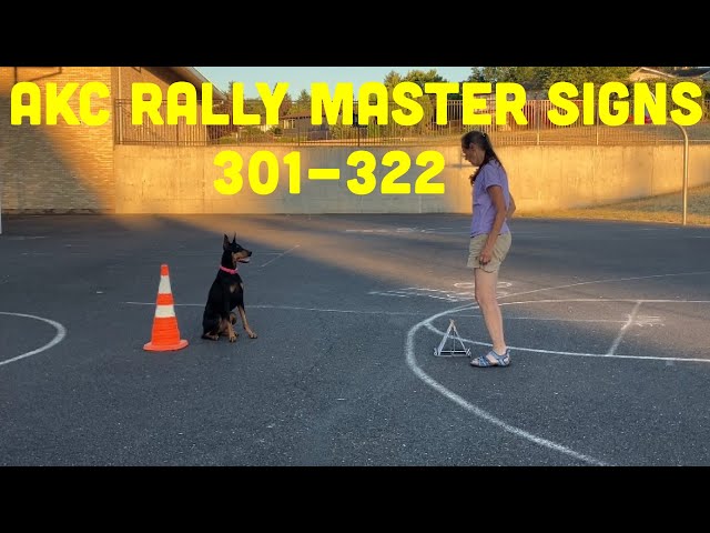 How to Train Your Dog for Rally Obedience: Expert Tips for Success