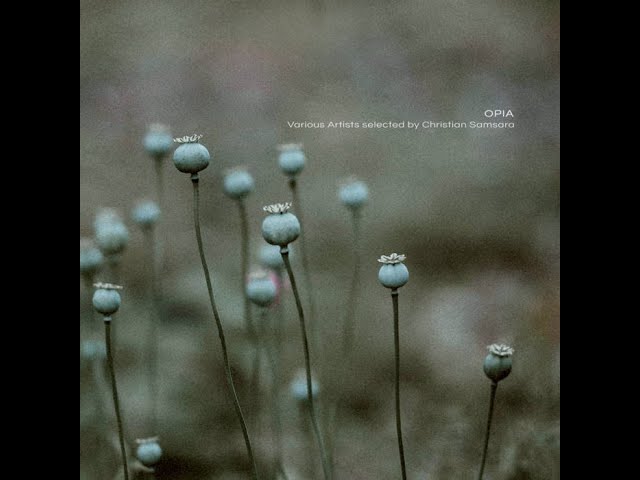 Ver Martin Nonstatic - Impulsing Path en YouTube Ver Martin Nonstatic - Impulsing Path en YouTube