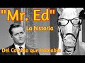 SECRETOS DEL CABALLO MISTER ED - COMO SE ORIGINÓ LA SERIE Y COMO LOGRARON HACERLO &quot;HABLAR&quot; !!!!!