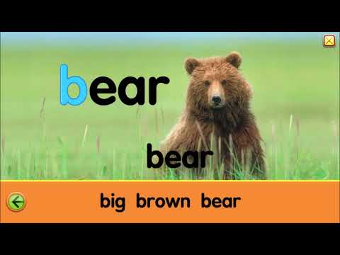 Learn With Me Letter B STAR FALL