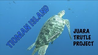 S.2 E.9 FR/EN  Juara turtle project sur l'île de Tioman.