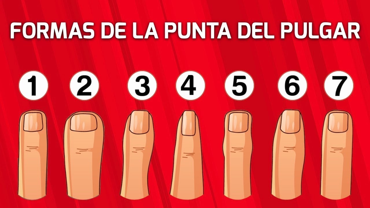 Test de Personalidad, La forma del pulgar puede revelar mucho sobre tu ...