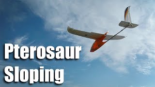 Pterosaur 1400 sloping screenshot 3