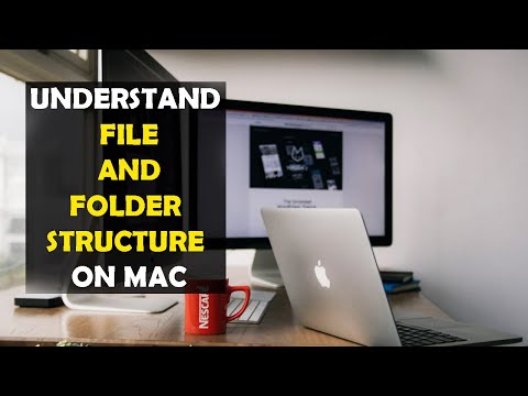 Understanding the File