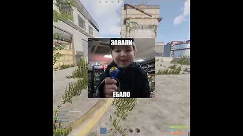 темный шприц/рахмет?company rust 266/magix rust 247.