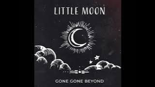 Little Moon - Gone Gone Beyond - Backing Track