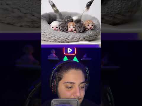 کدوم یکی از این قدرت هارو انتخاب میکنی