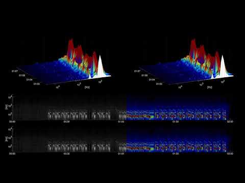 [Free Music] Overturn