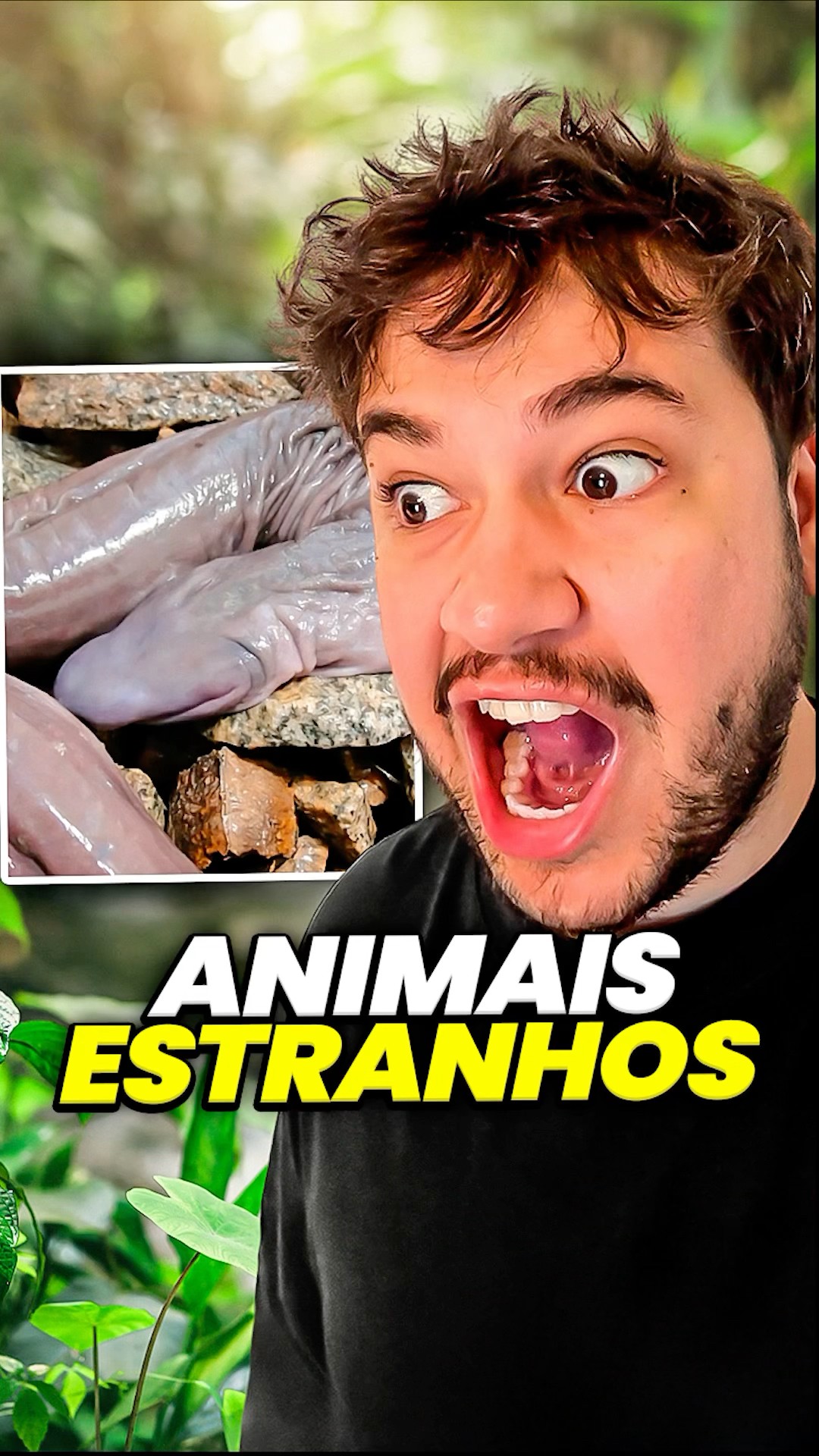 animais estranhos... #livedobrino #humor #MundinhoBrino