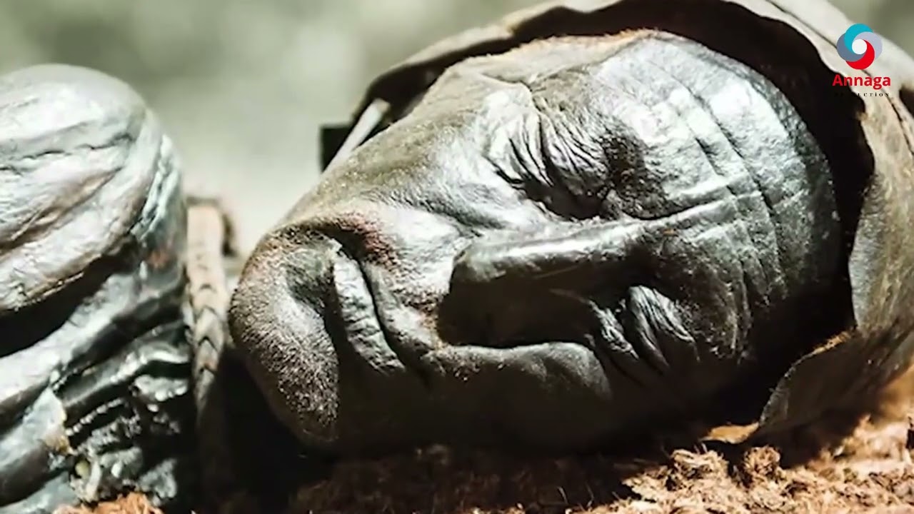 QOF DHİNTAY AYAA DHULKA LAGA HELAY QARNİYO KADİB