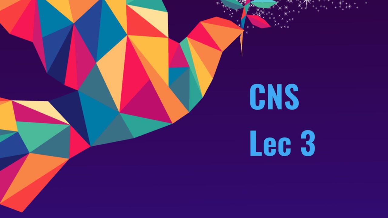 CNS Lec 3 / The sensory system - YouTube