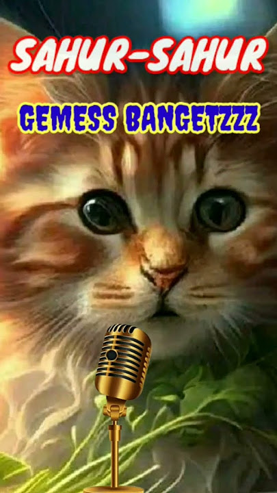 KUCING SHOLAWAT SAHUR-SAHUR SUARA KUCING LUCU IMUT #cat #kucingbersholawat #suarakucing #kucingimut