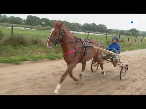 Coronavirus: la Mayenne attend la reprise des courses hippiques Coronavirus: la Mayenne attend la reprise des courses hippiques