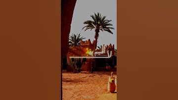 🌿 سورة البلد 🌿 المنشاوي 🌿