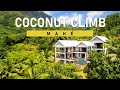 Villa "Coconut Climb" on Mahé, Seychelles