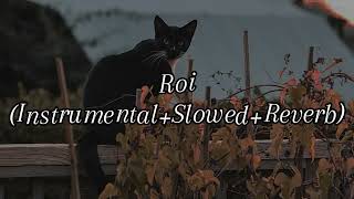 Roi (Instrumental+Slowed+Reverb)