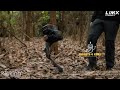 LimX Dynamics’ P1 Biped Robot Tested In the Forest