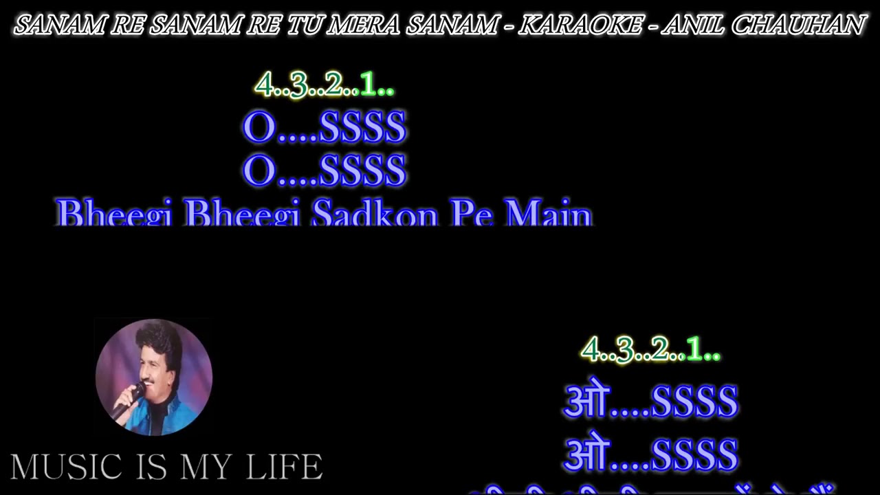   Sanam Re  Song Karaoke in HD