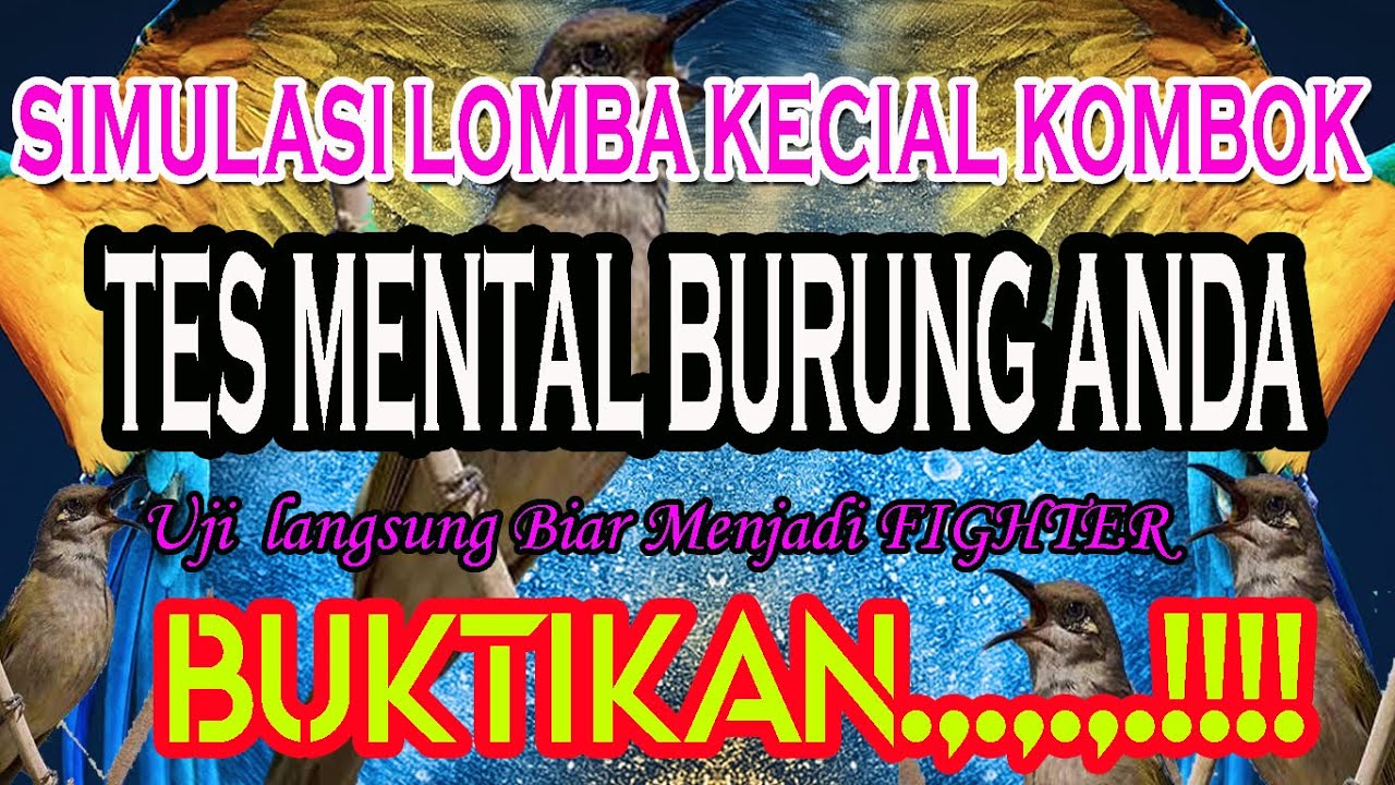 SIMULASI LOMBA KECIAL KOMBOK