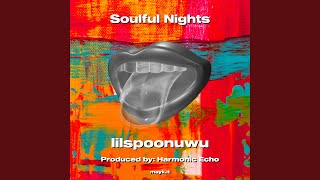 Soulful Nights