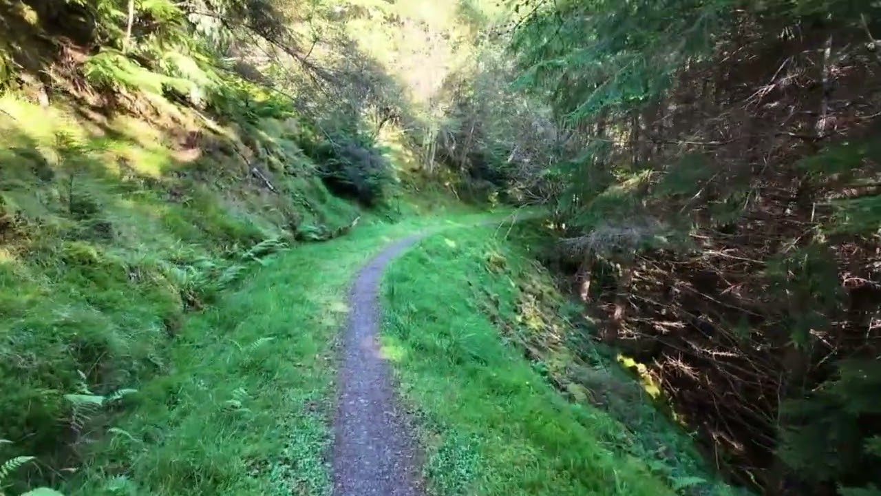 Great Glen Way Day five: Altsigh to Drumnadrochit