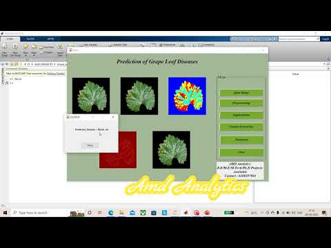Prediction of Grape Disease  using Optimized CNN