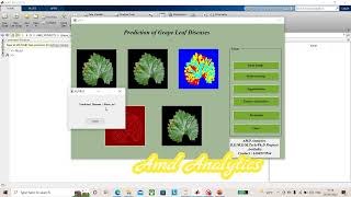 Prediction of Grape Disease  using Optimized CNN